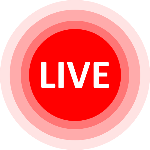 Porn Live Cam